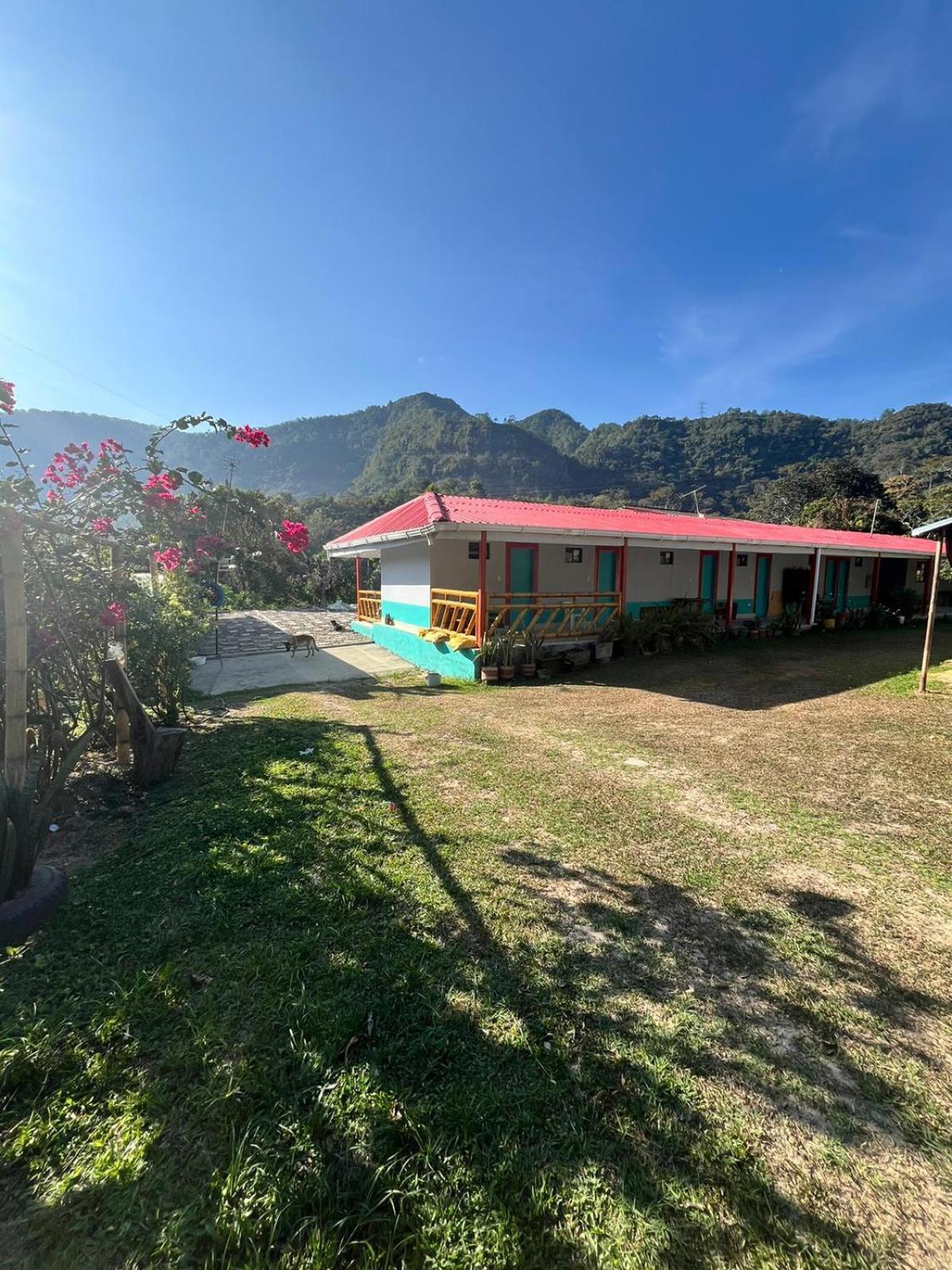 Farm stay Lili